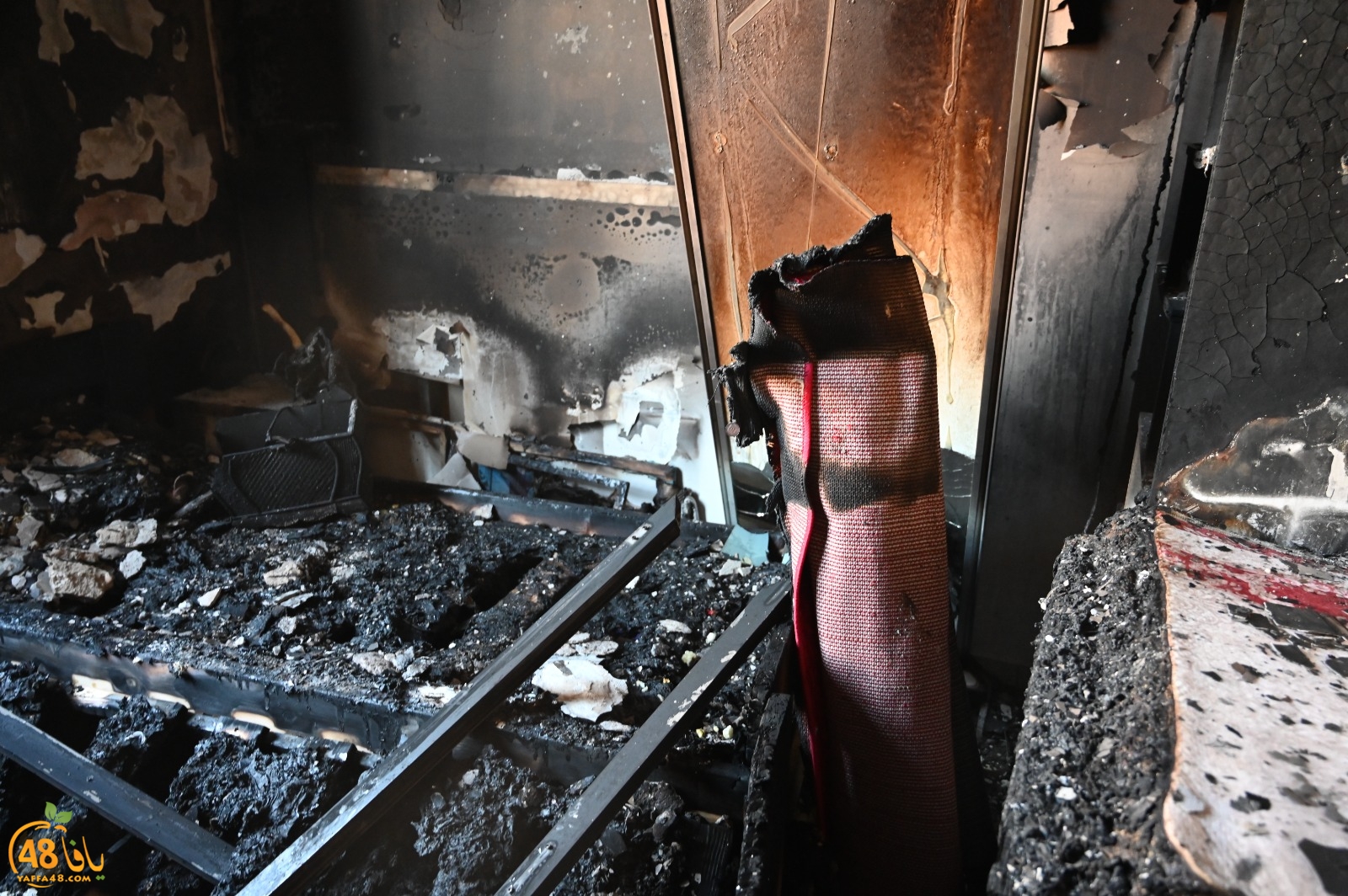 WhatsApp Image 2023-08-03 at 6.56.54 PM.jpeg